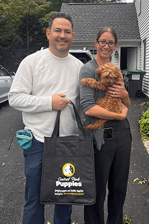 central park puppies delivery with care