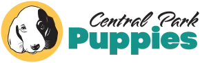 Central Park Puppies