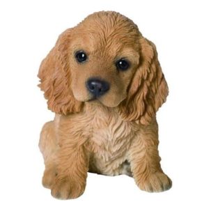 Cocker Spaniel Puppy for Sale