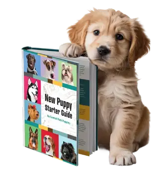 New Puppy Handbook